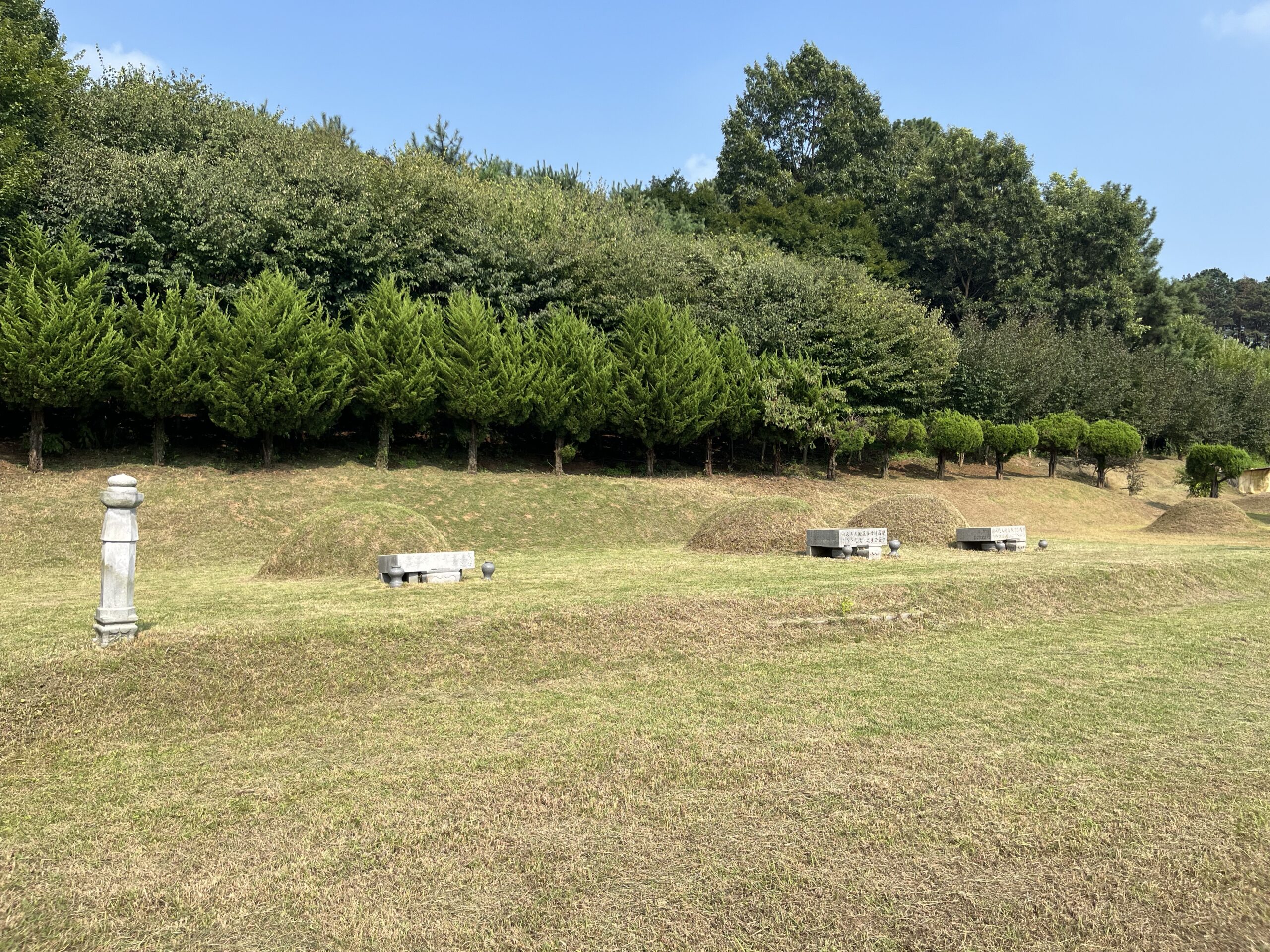 다온벌초대행사 현장 관리