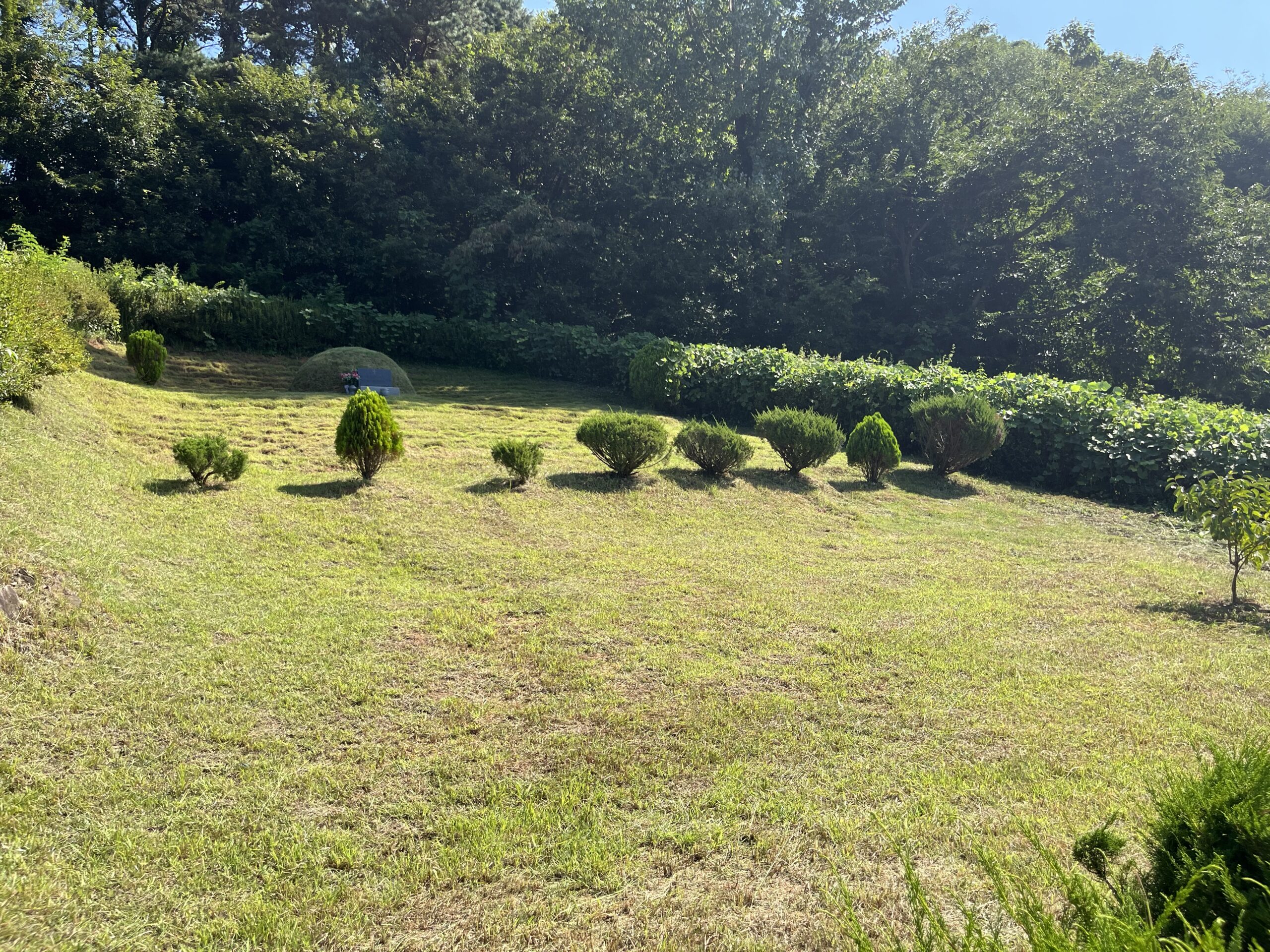 다온 제초작업 현장