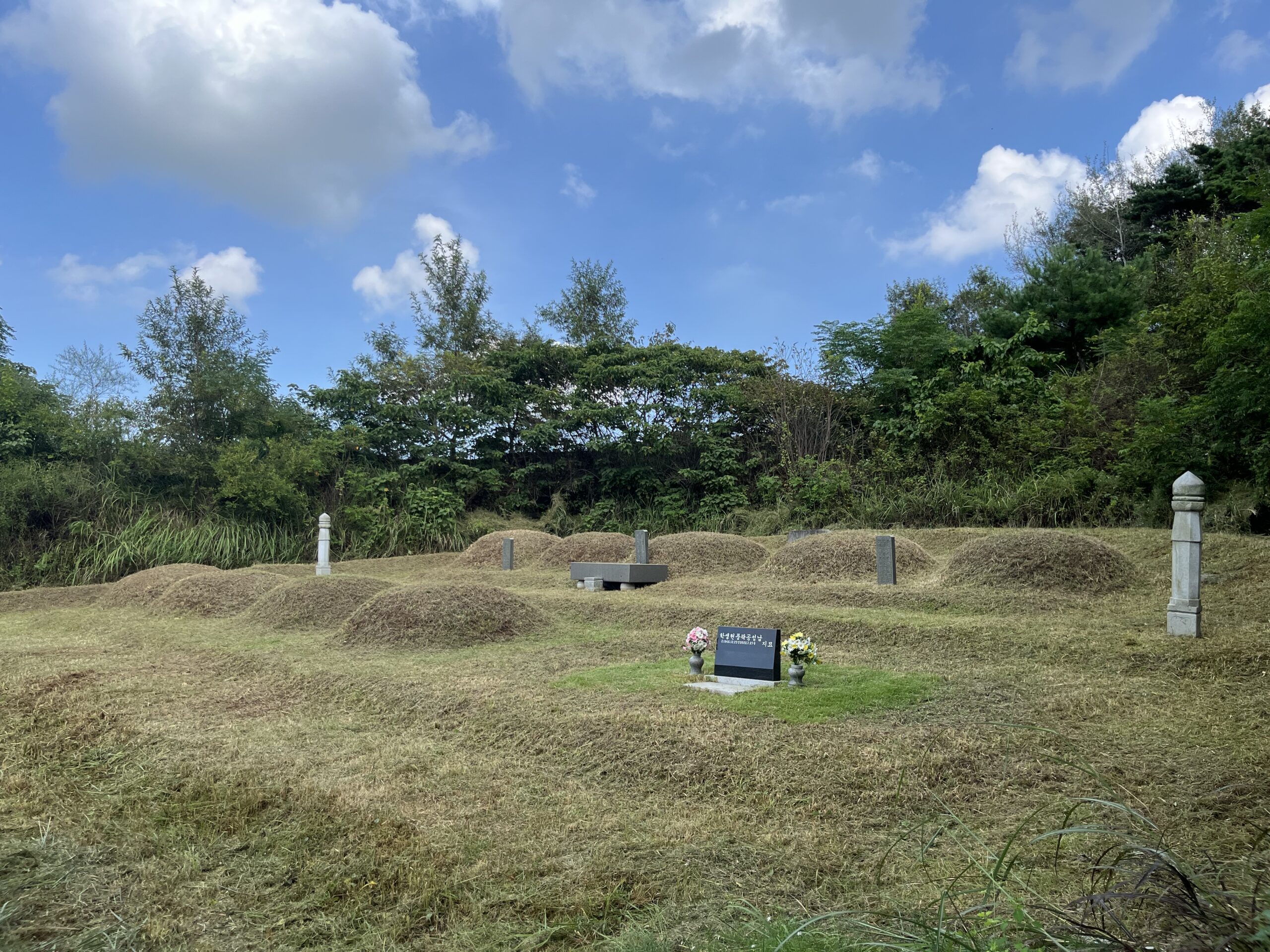 다온벌초대행 현장 이미지